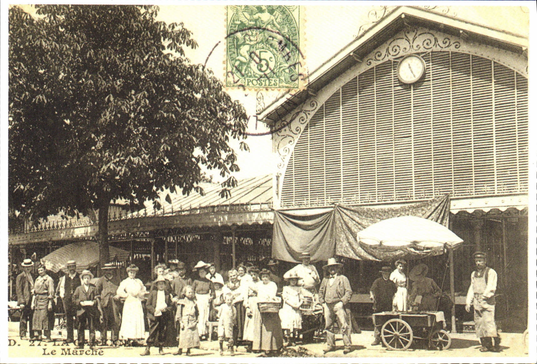 REPRO Garenne Doves Market