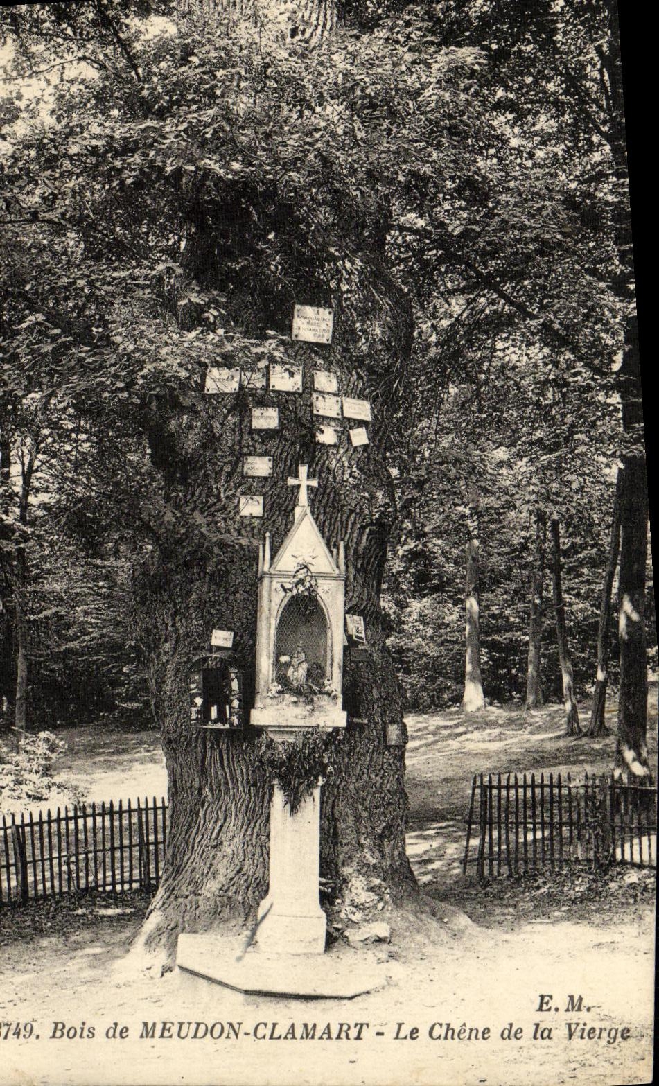 Madera de la POSTAL de la VENDIMIA de Meudon Clamart el roble de la Virgen