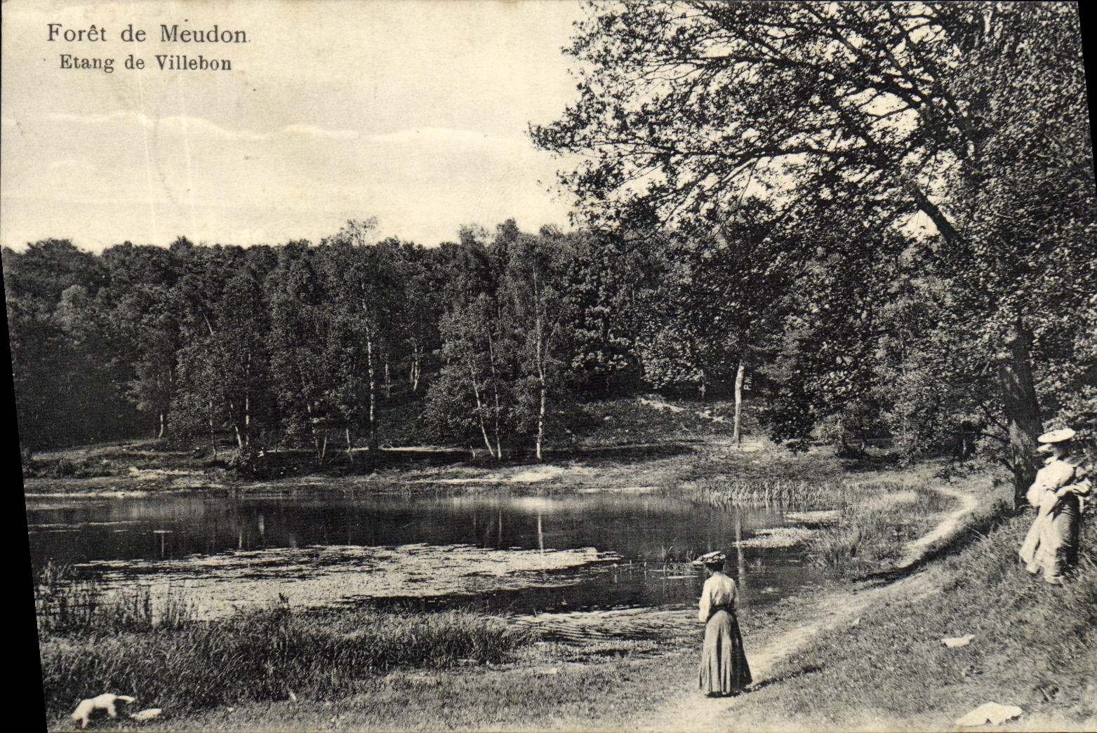 CPA Foret de Meudon Etang de Villebon