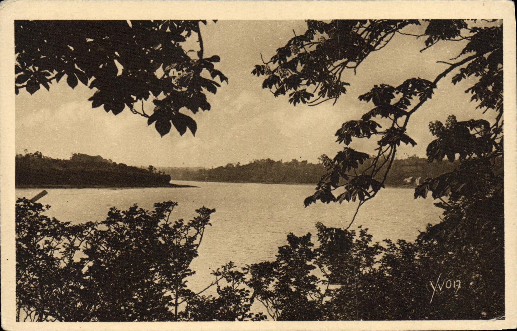 Bordes de Bretana de la POSTAL de la VENDIMIA de rancio con el roble de encina