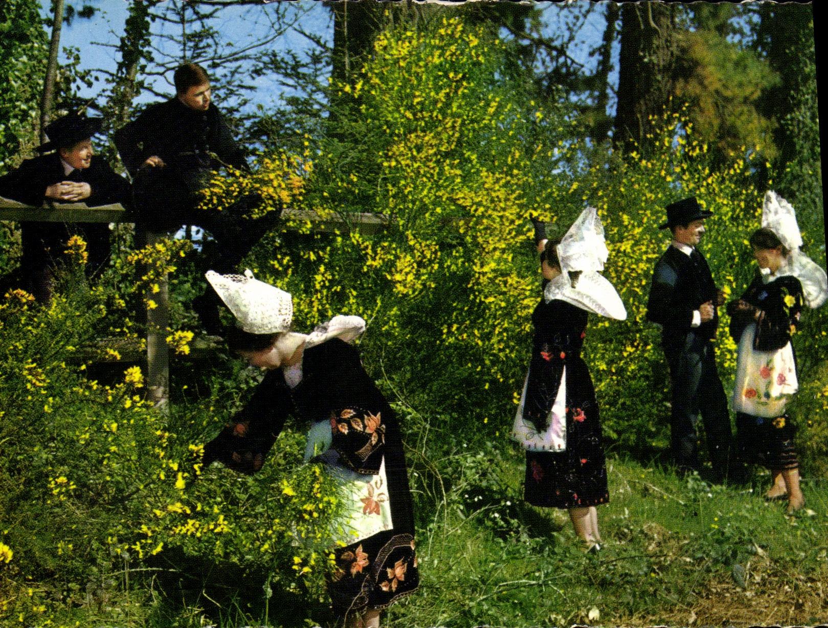 POSTAL MODERNA chicas jovenes del ceercle AR celtica Roued de Gals de Concarneau que recolecta el folklore de la escoba