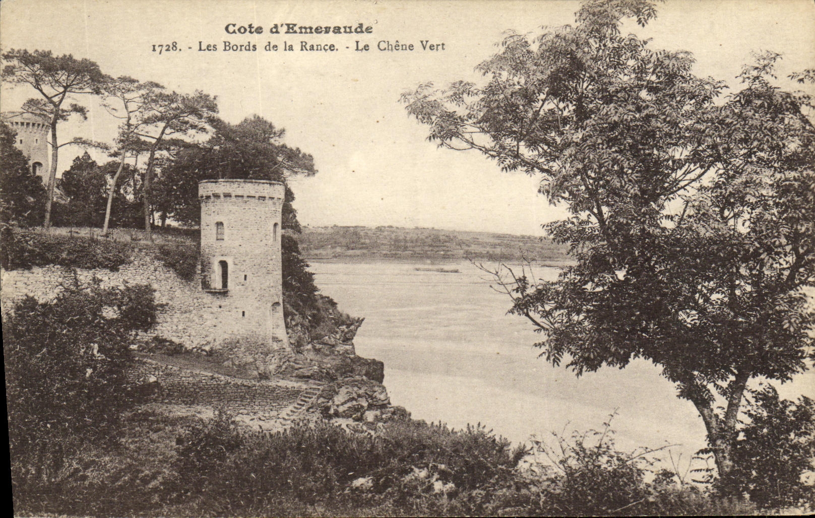 CPA Cote d Emeraude Les Bords de la Rance Le Chene vert