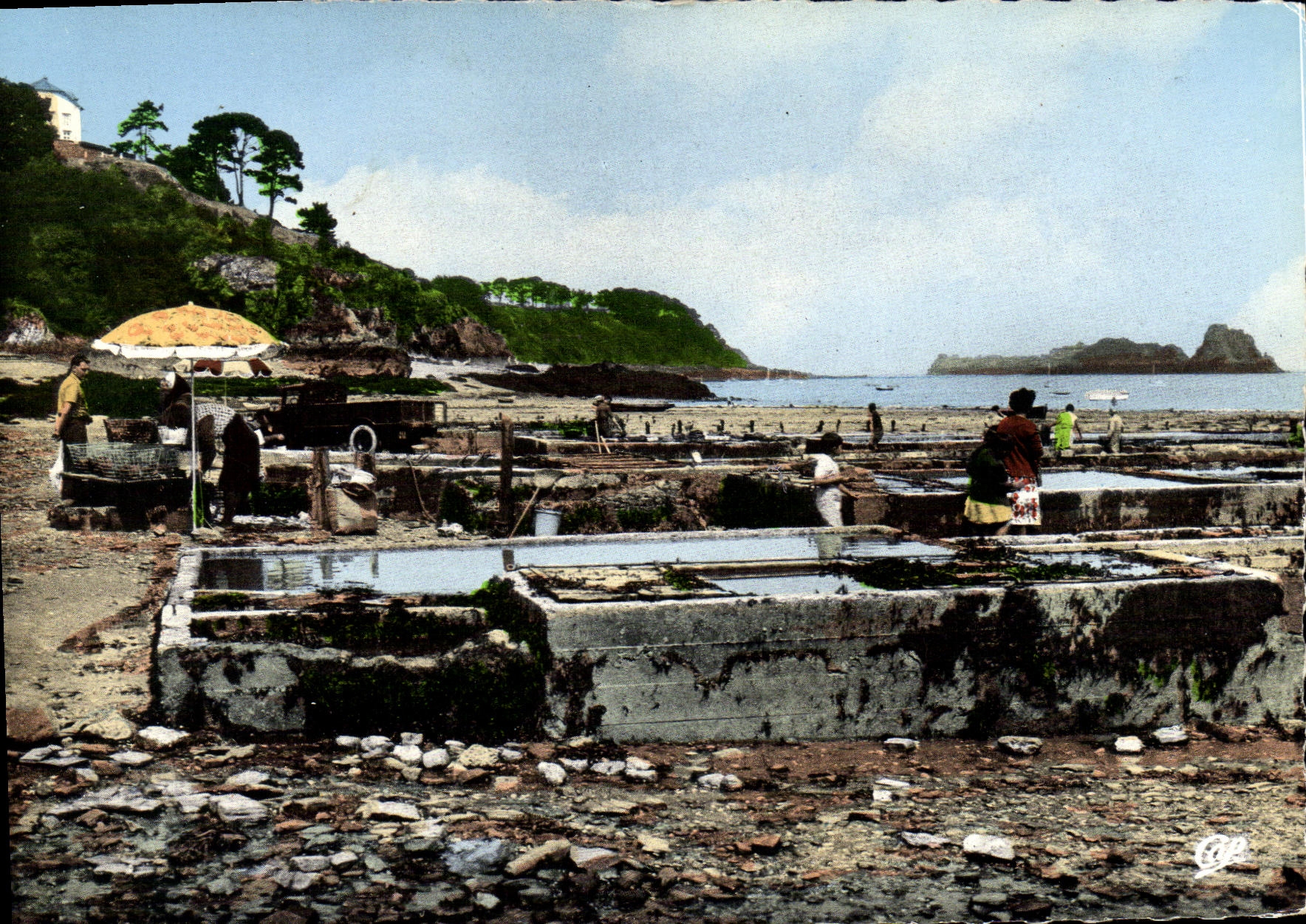 MODERN CARD Cancale the Oyster beds and rock of Cancale