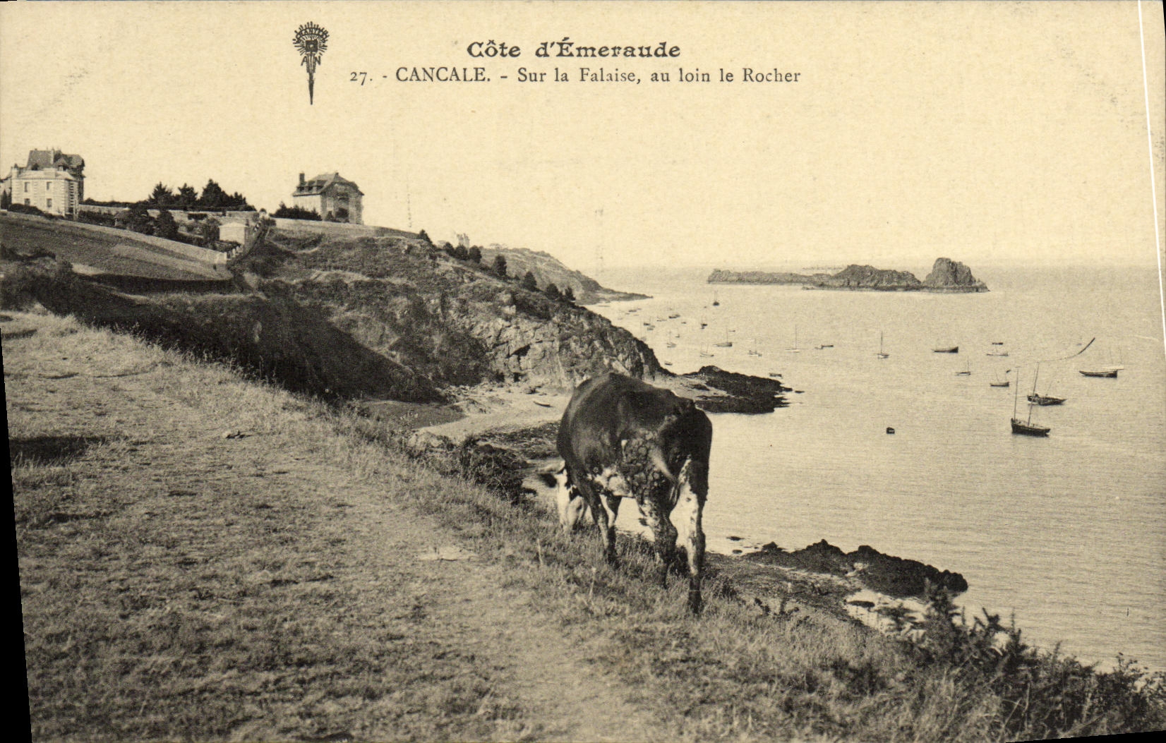 VINTAGE POSTCARD Cancale on Cliff with far the Rock Cow