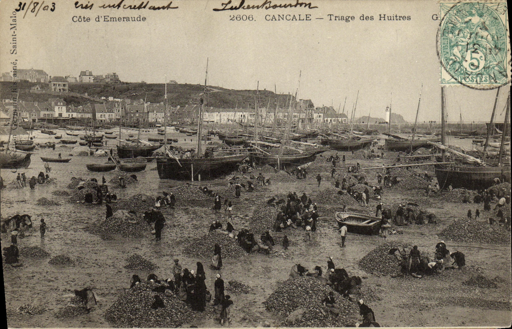 CPA Cancale Triage des Huitres Ostreiculture
