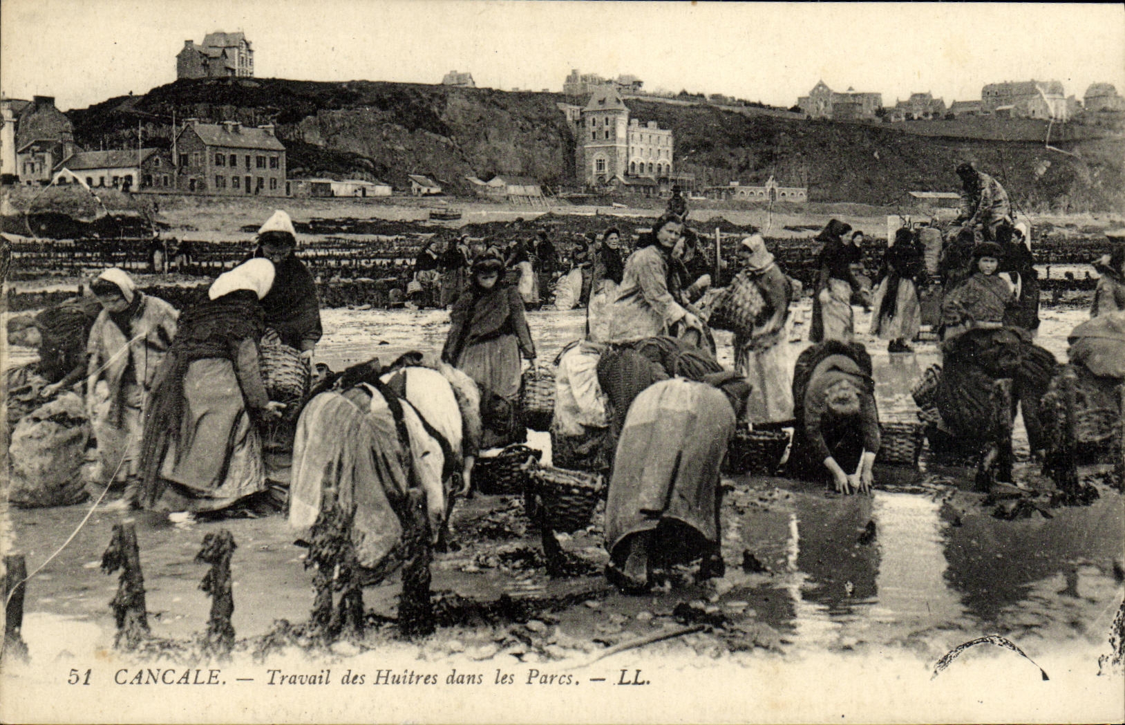 VINTAGE POSTCARD Cancale Work of Oysters in the Parks Ostreiculture TOP