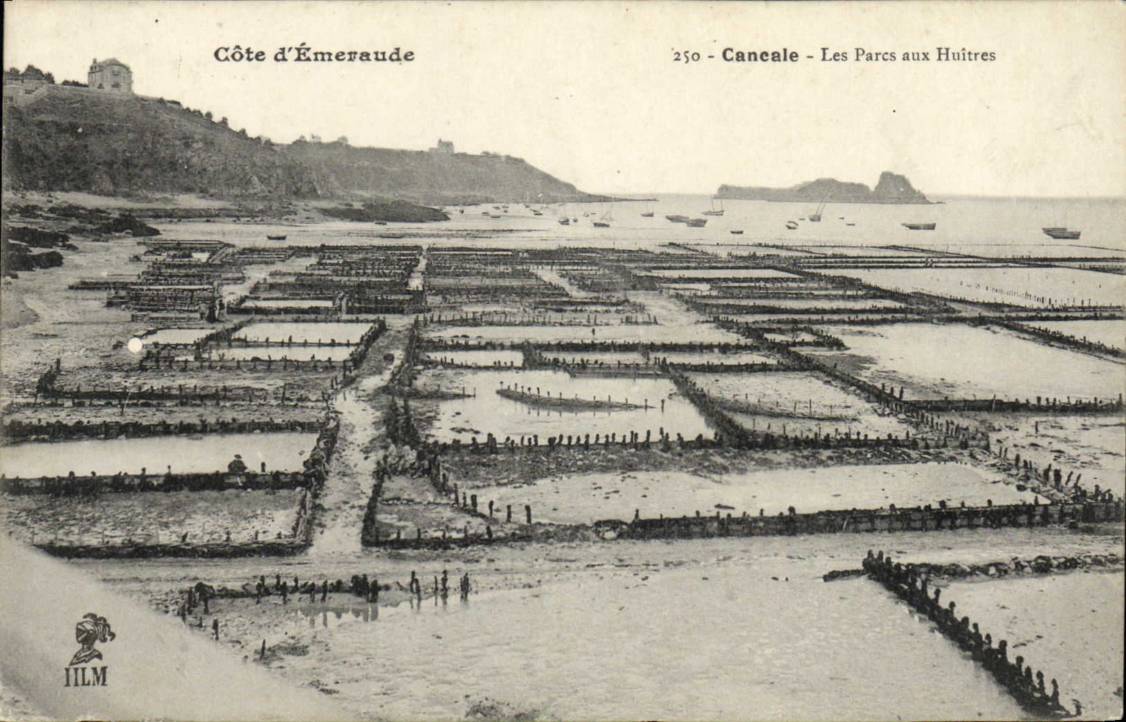 CPA Cancale Les Parcs aux Huitres Ostreiculture