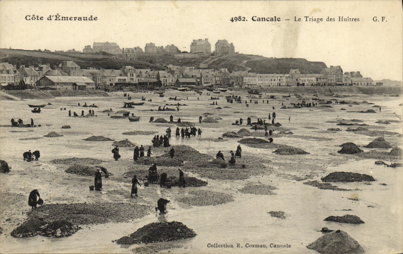 CPA Cancale Le Triage des Huitres Ostreiculture