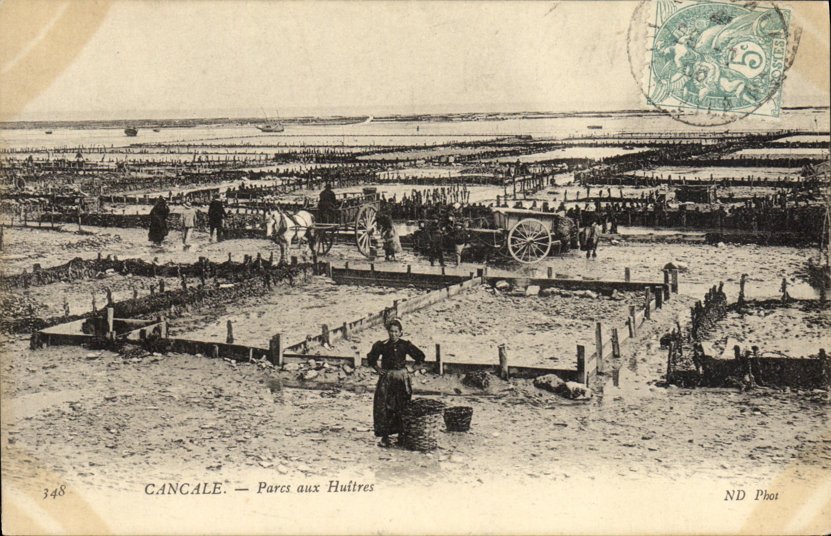 CPA Cancale Parcs aux Huitres Ostreiculture