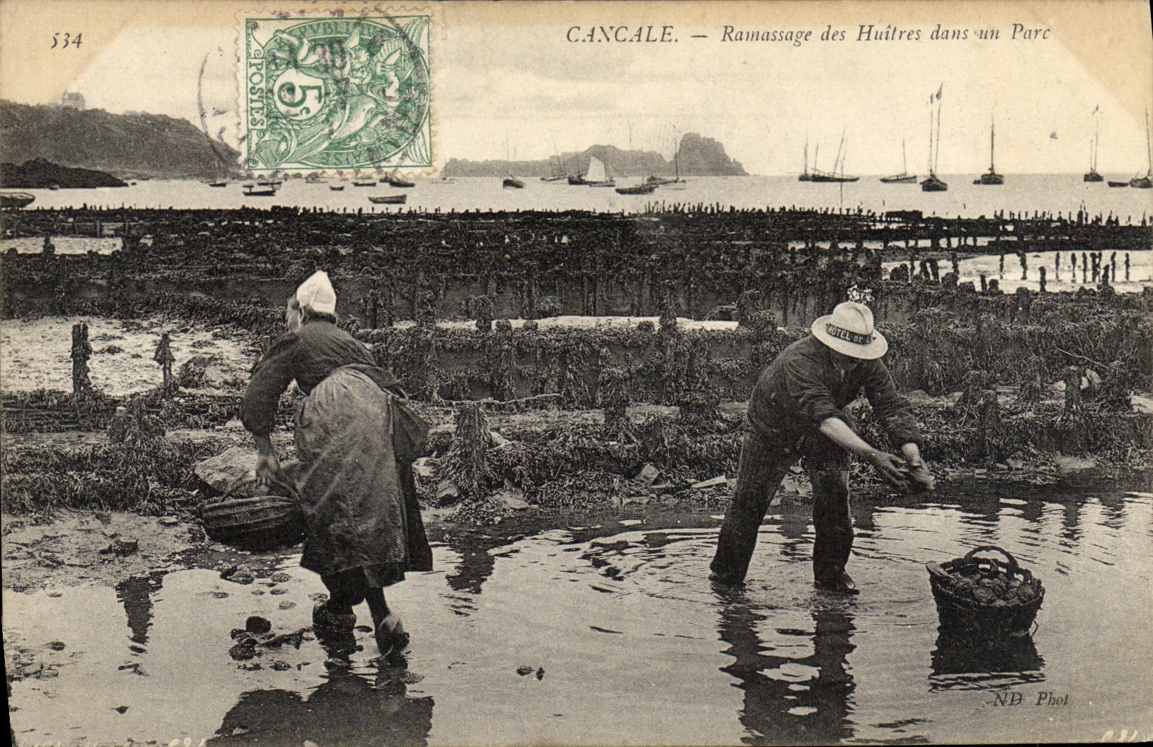 CPA Cancale Ramassage des Huitres dans un Parc Ostreiculture
