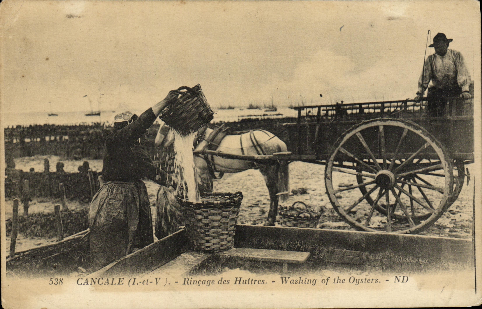 Enjuague de Cancale de la POSTAL de la VENDIMIA de la TAPA de la ostreicultura de las ostras