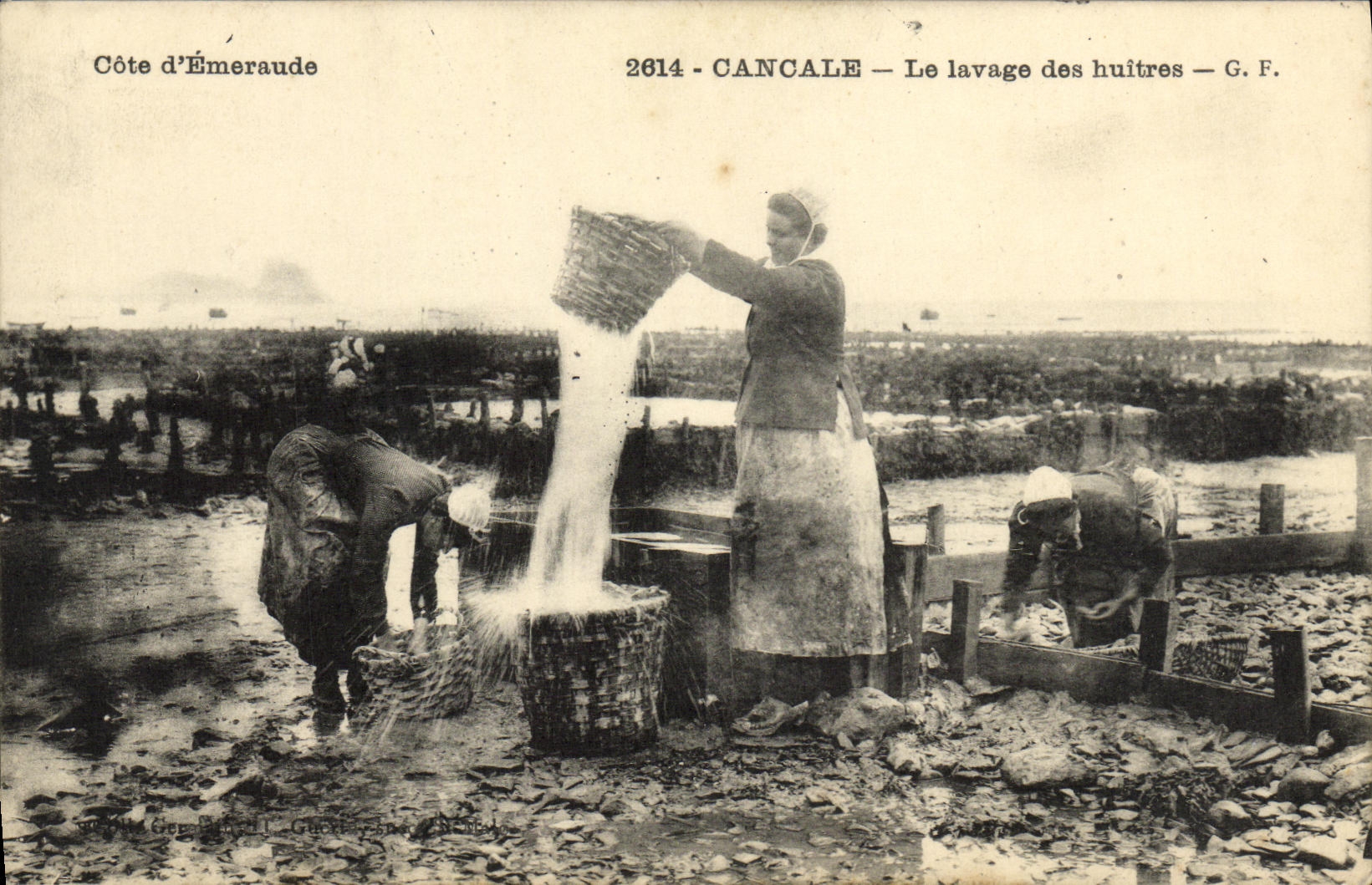 VINTAGE POSTCARD Cancale the washing of the oysters Ostreiculture TOP