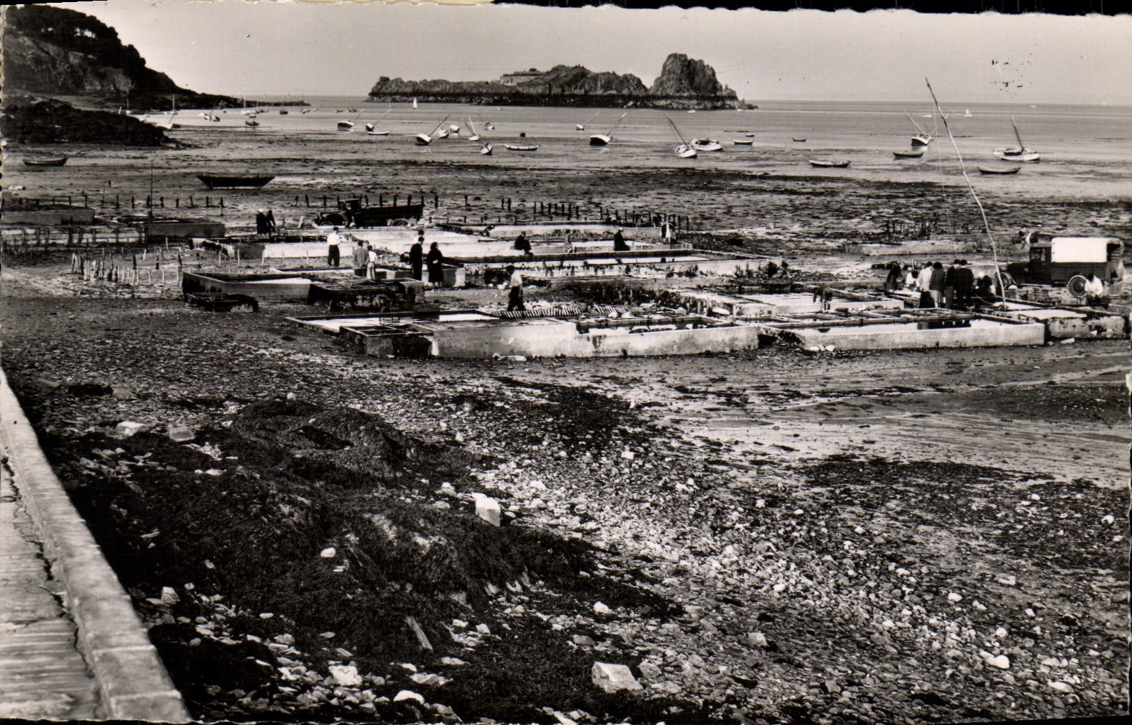 CPM Cancale Les Parcs a Huitres Le Rocher de Cancale Ostreiculture