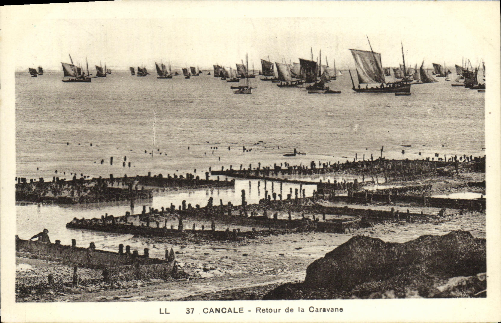 Vuelta de Cancale de la POSTAL de la VENDIMIA de las ostras de la ostreicultura de los barcos de la caravana
