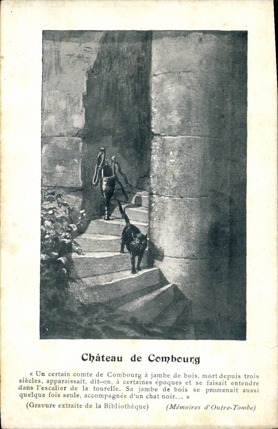 VINTAGE POSTCARD Combourg Castle Cat