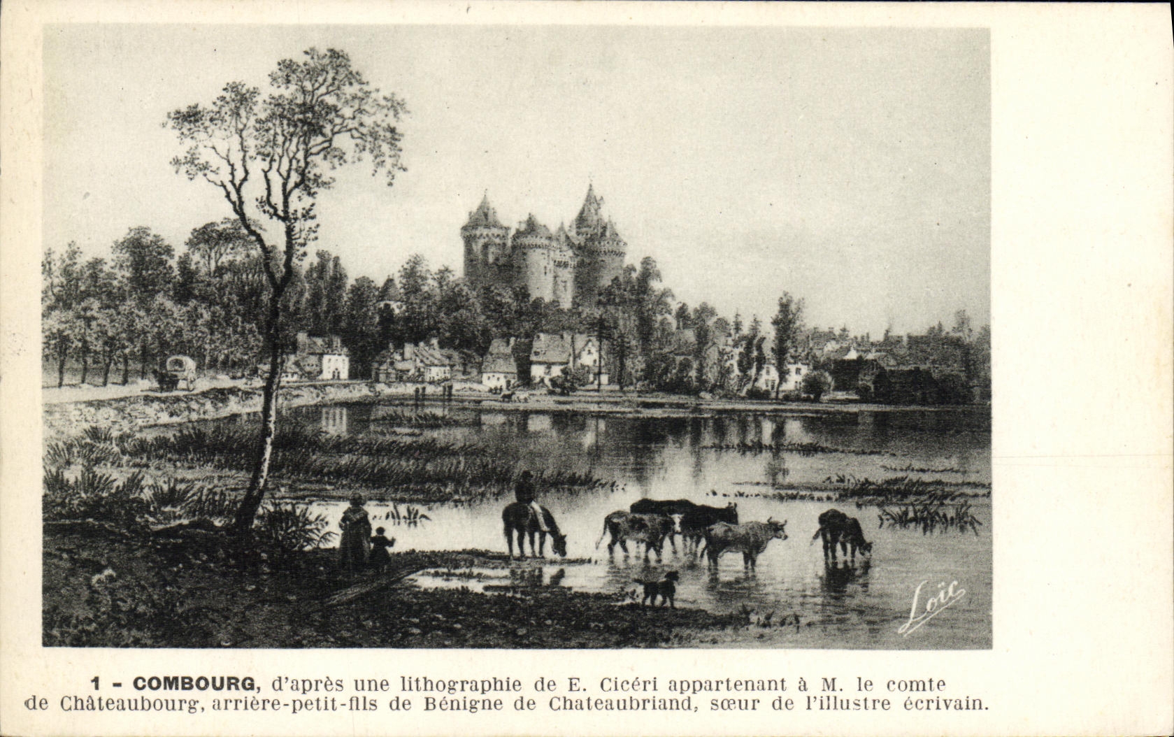 VINTAGE POSTCARD Combourg D After a lithography of Ciceri Cows