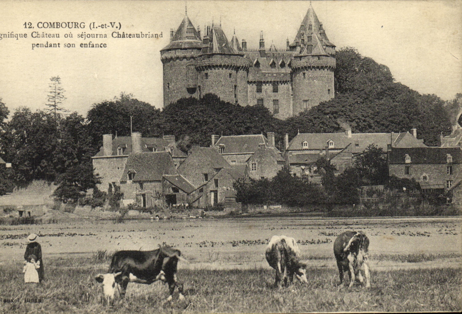 VINTAGE POSTCARD Combourg Castle Pond and View Cows