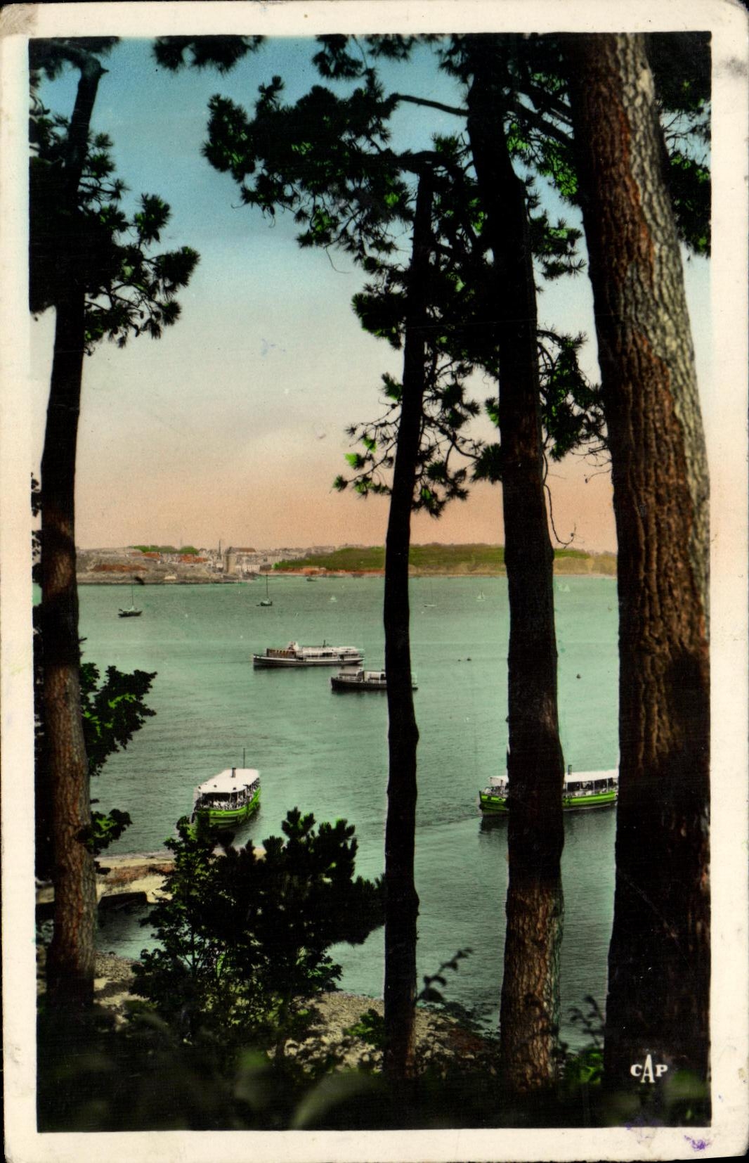 CPM Dinard Les Vedettes Vertes