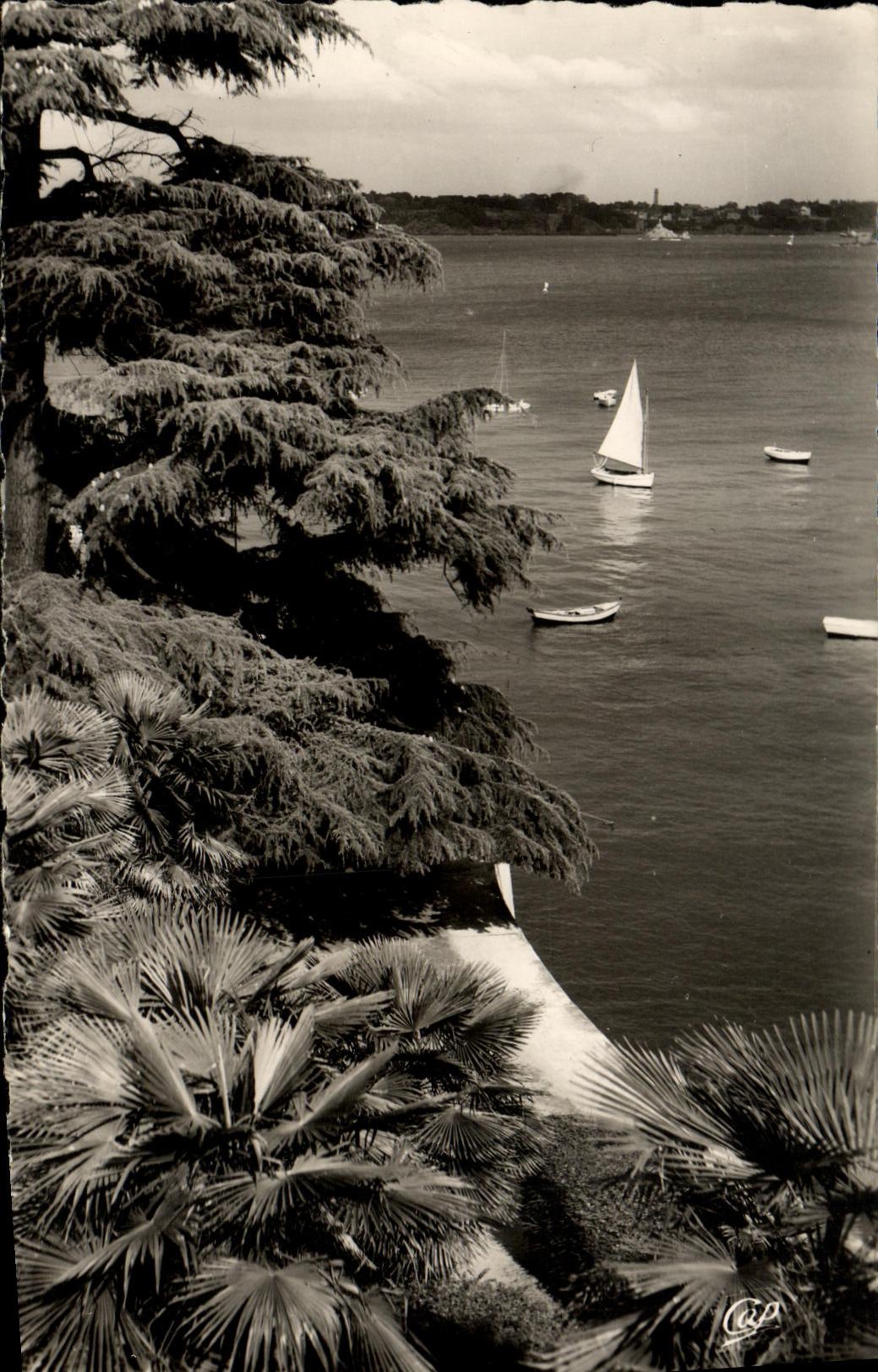CPM Dinard La Promenade Du clair De Lune