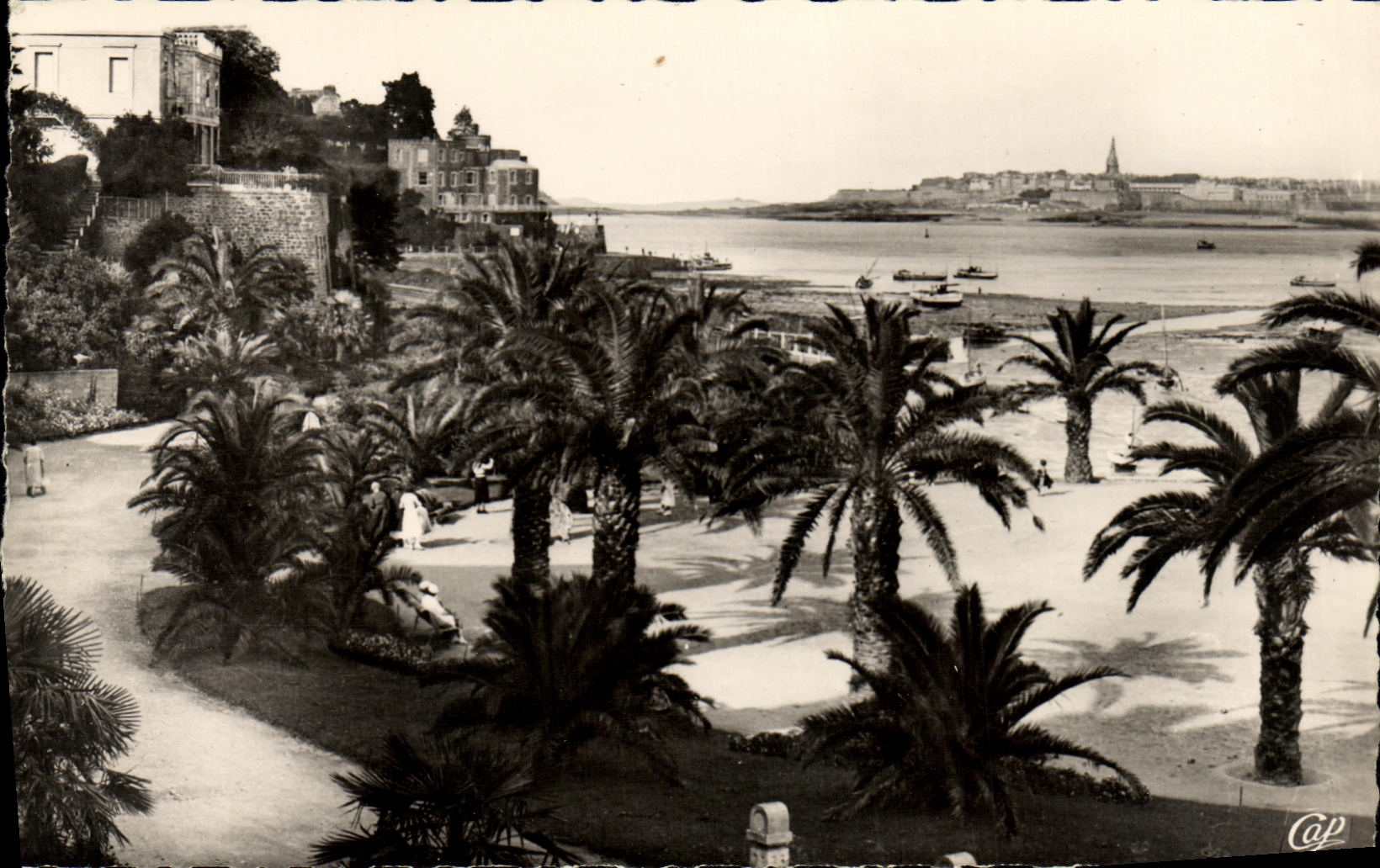 POSTAL MODERNA plantacion de la palma de Dinard en el Malo inferior santo