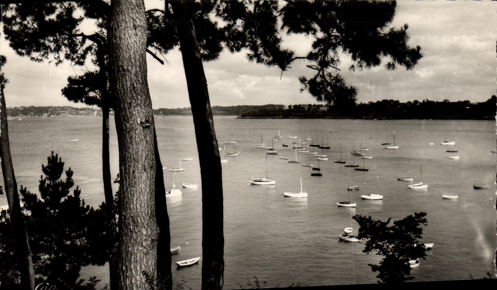 CPM Dinard Vue du Bassin des Yachts Prise de la Promenade