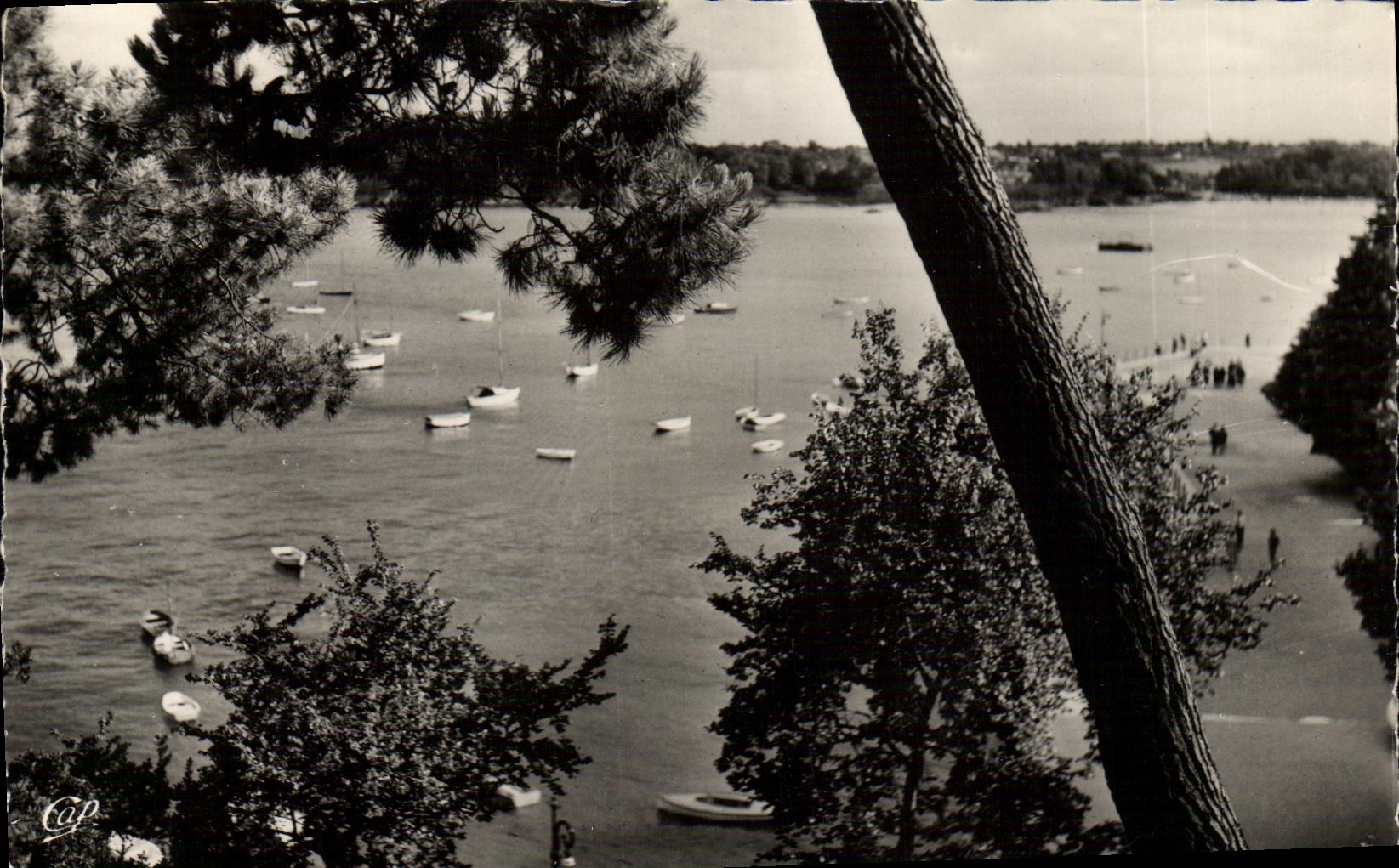 CPA Dinard Le Bassin des Yachts Vue Prise de la Promenade
