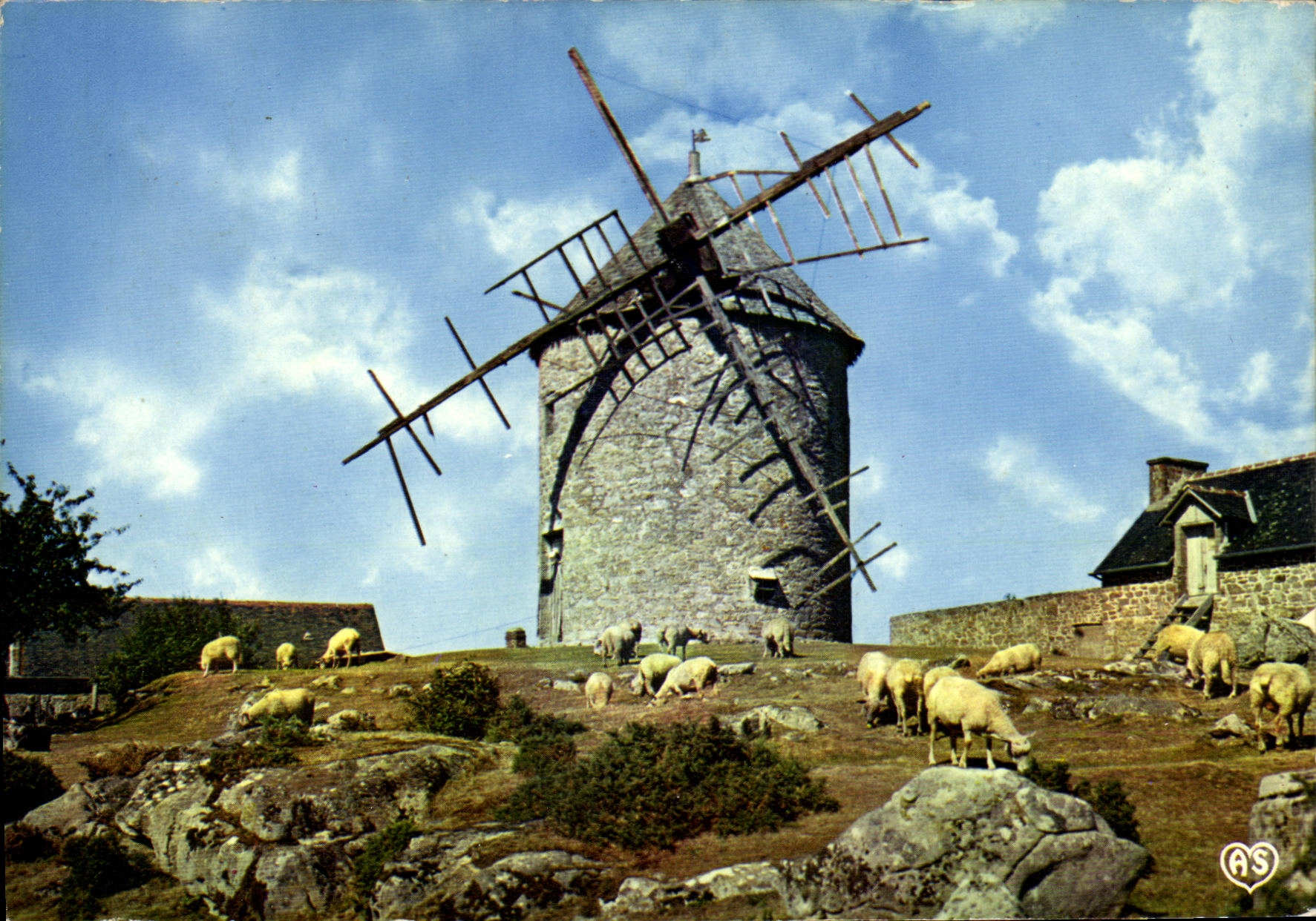 CPM Le Mont Dol Vieux Moulin du Tertre Moutons 