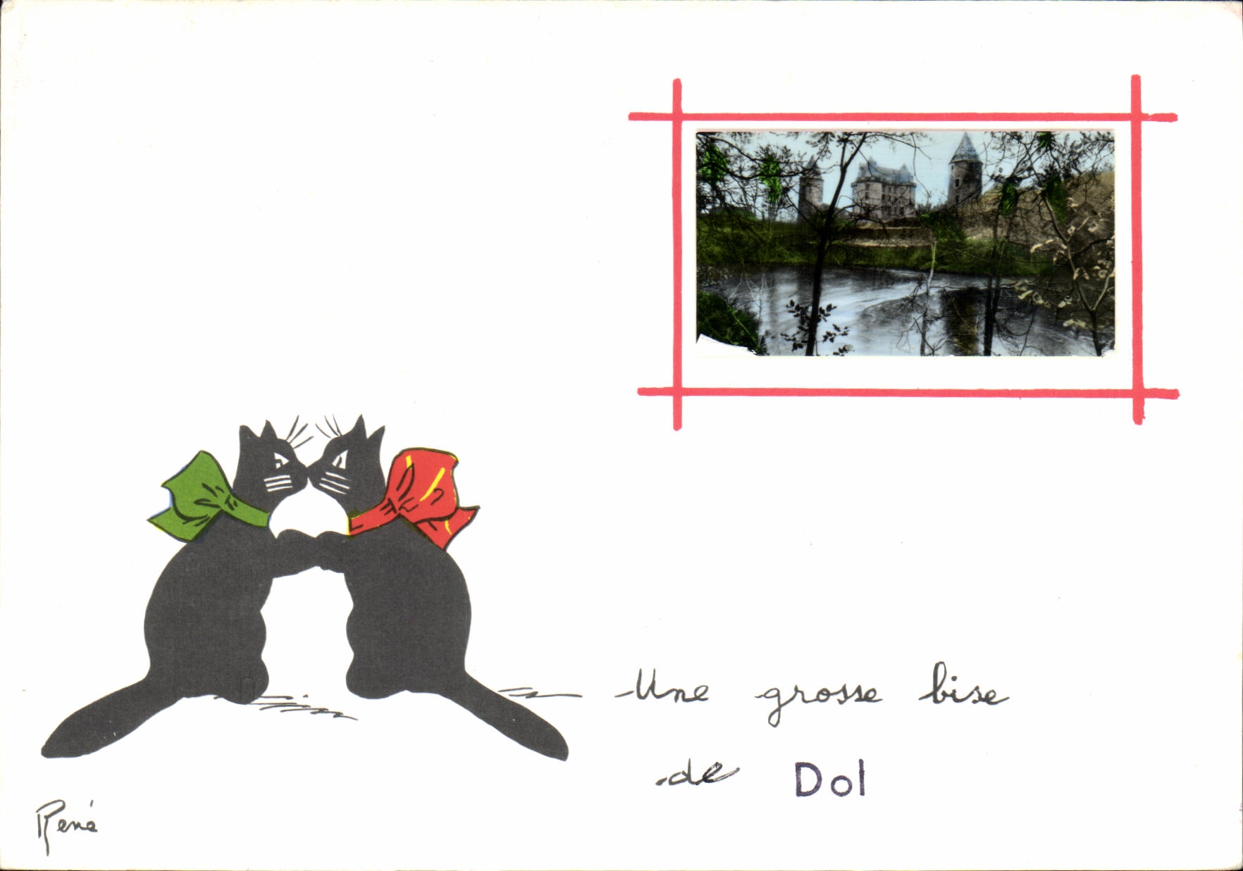 MODERN CARD large reads Fraud Cats