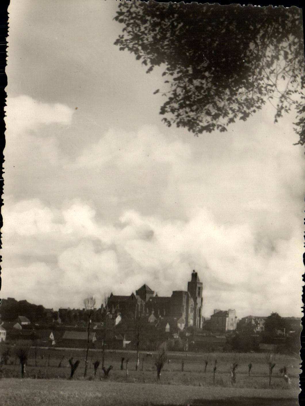 MODERN CARD Fraud of Brittany Seen of the marshes