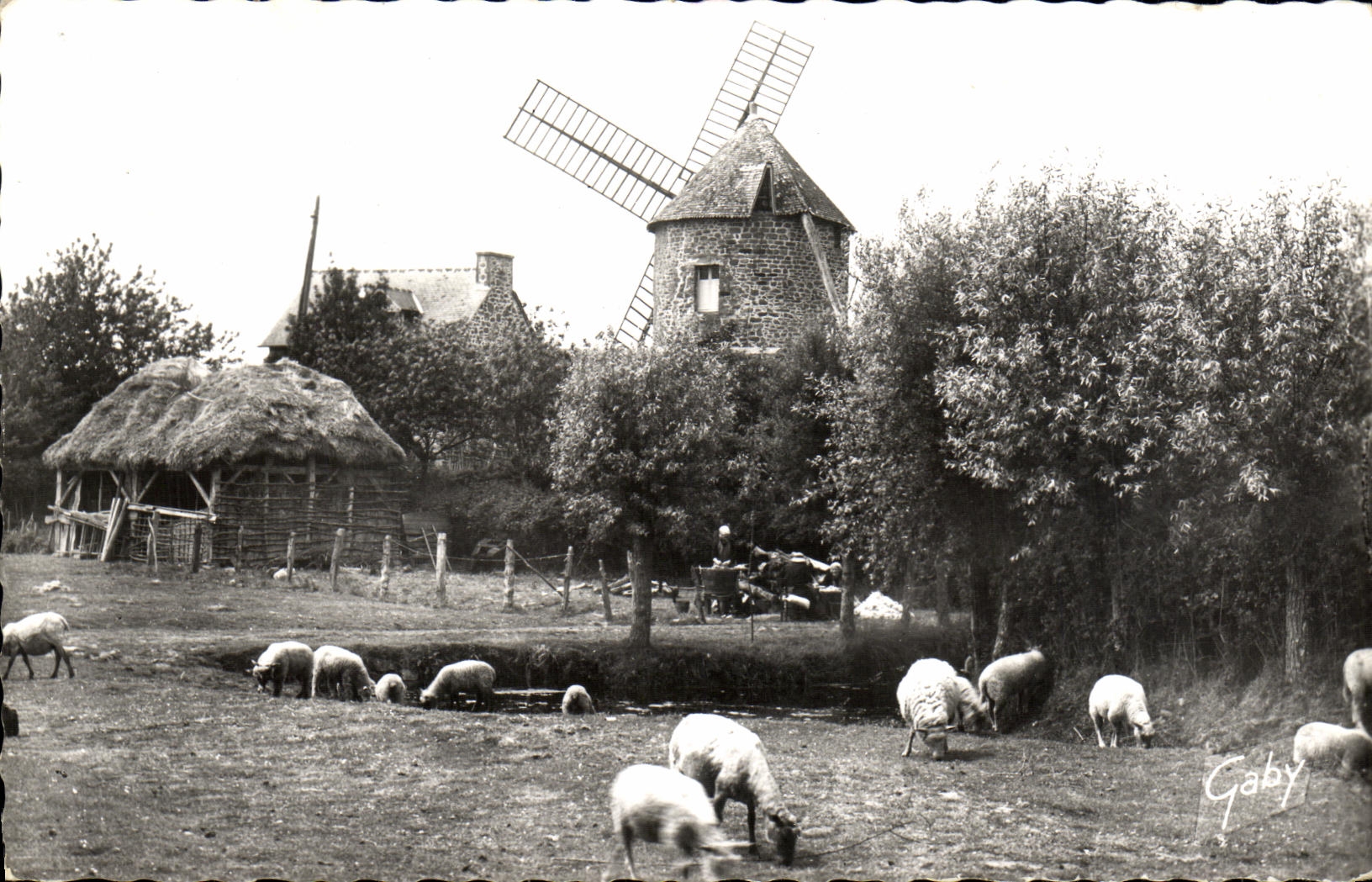 CPM Le Mont Dol Le Moulin du Tertre Moutons