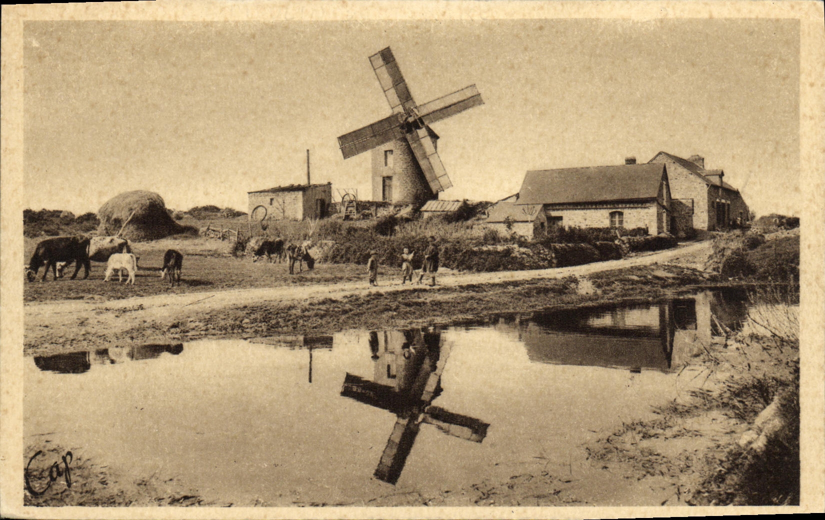 CPA Dol de Bretagne Le Mont Dol Le Moulin du Tertre Enfants Vaches
