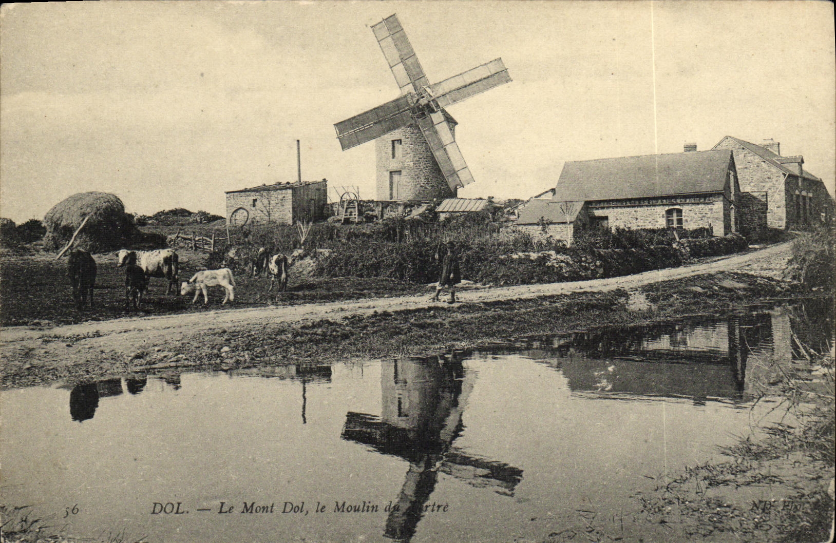 VINTAGE POSTCARD Fraud the Mount Fraud the Mill Cows