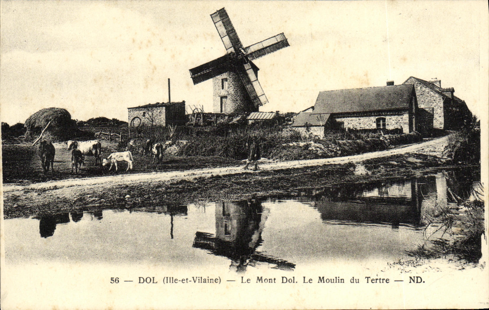 CPA Dol La Mont Dol le Moulin Vaches