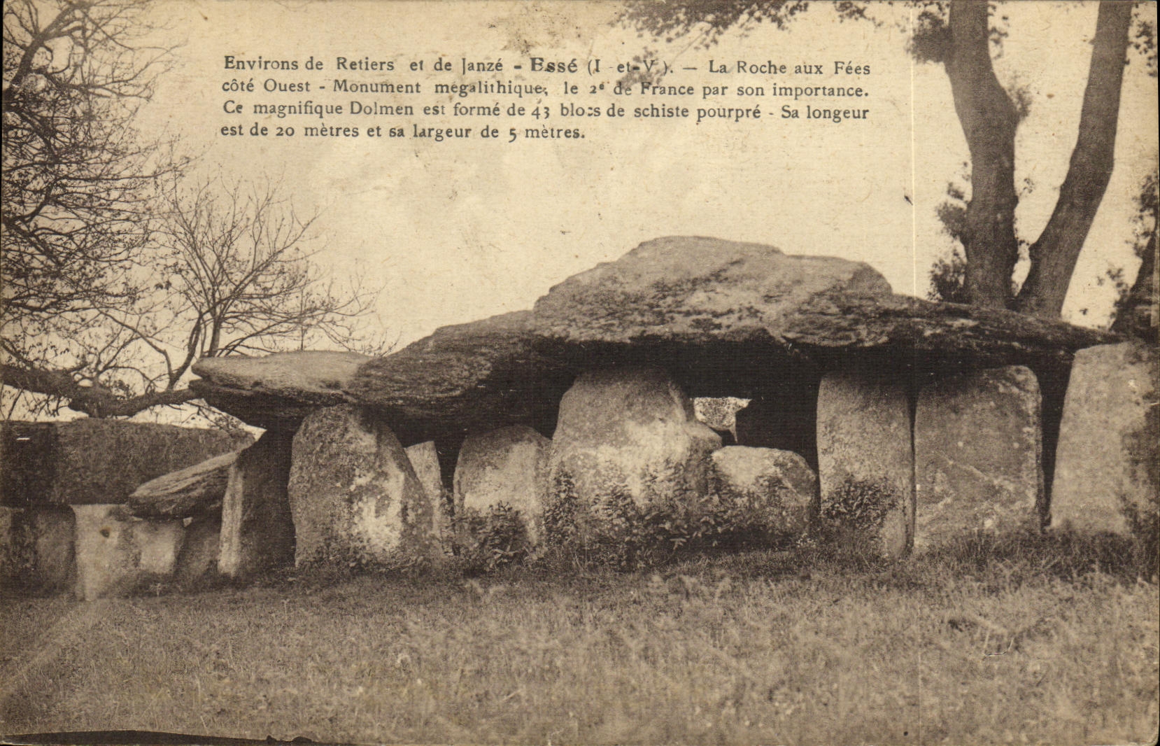 VINTAGE POSTCARD Esse the megalithic rock with the fairies Monument