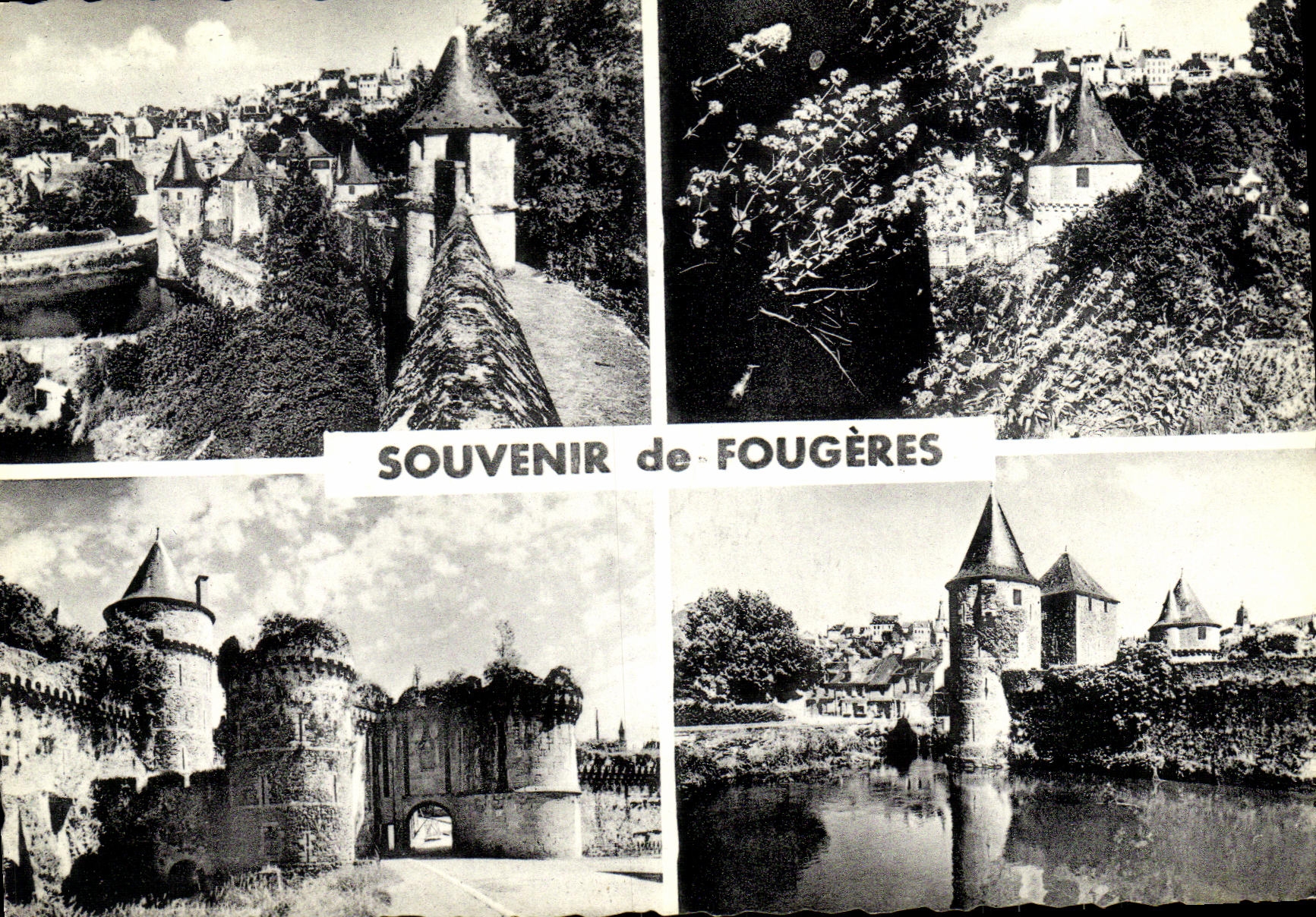 MODERN CARD To remember of Ferns