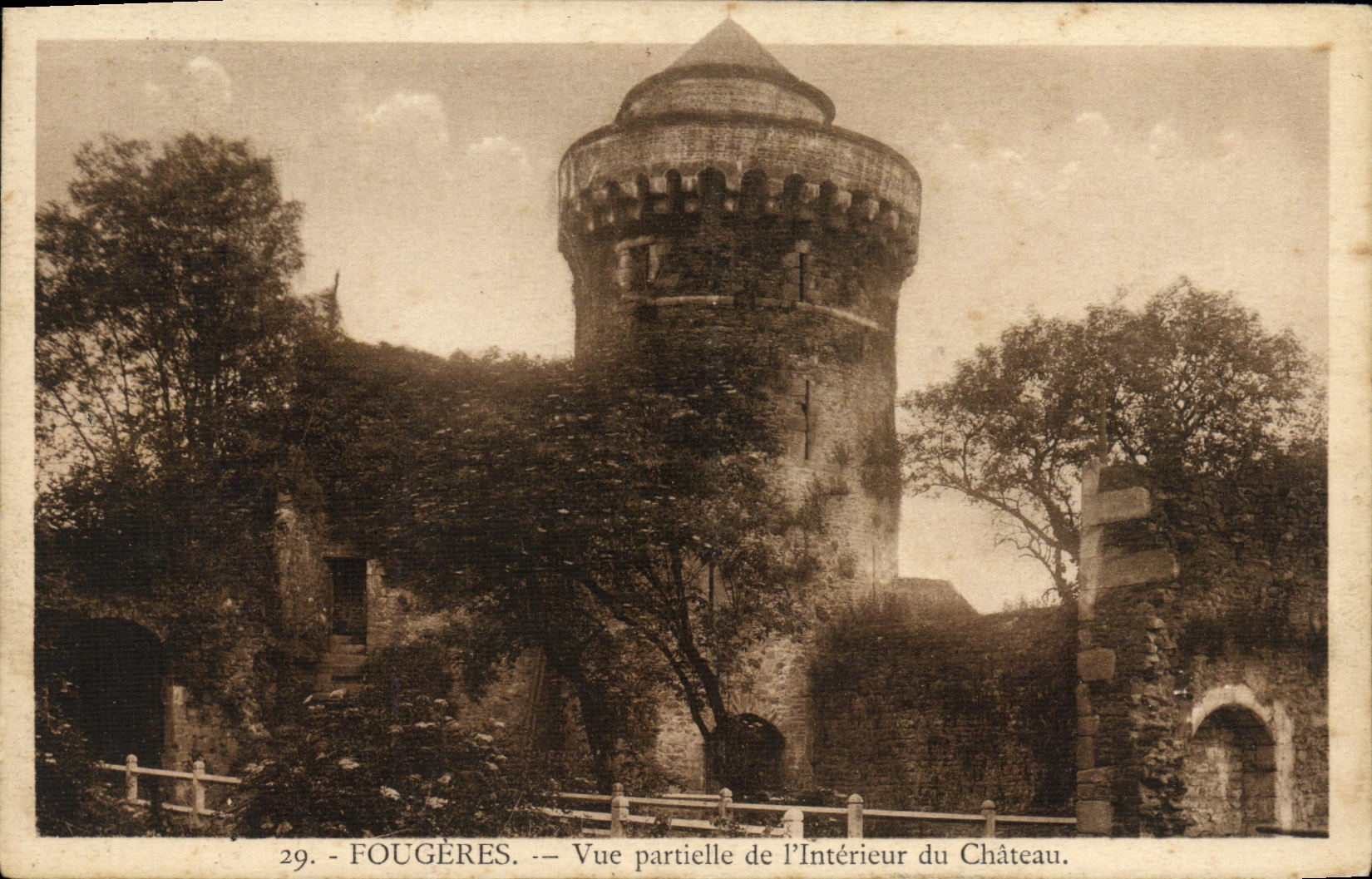 VINTAGE POSTCARD Ferns Seen Partial of L lnterior of the Castle