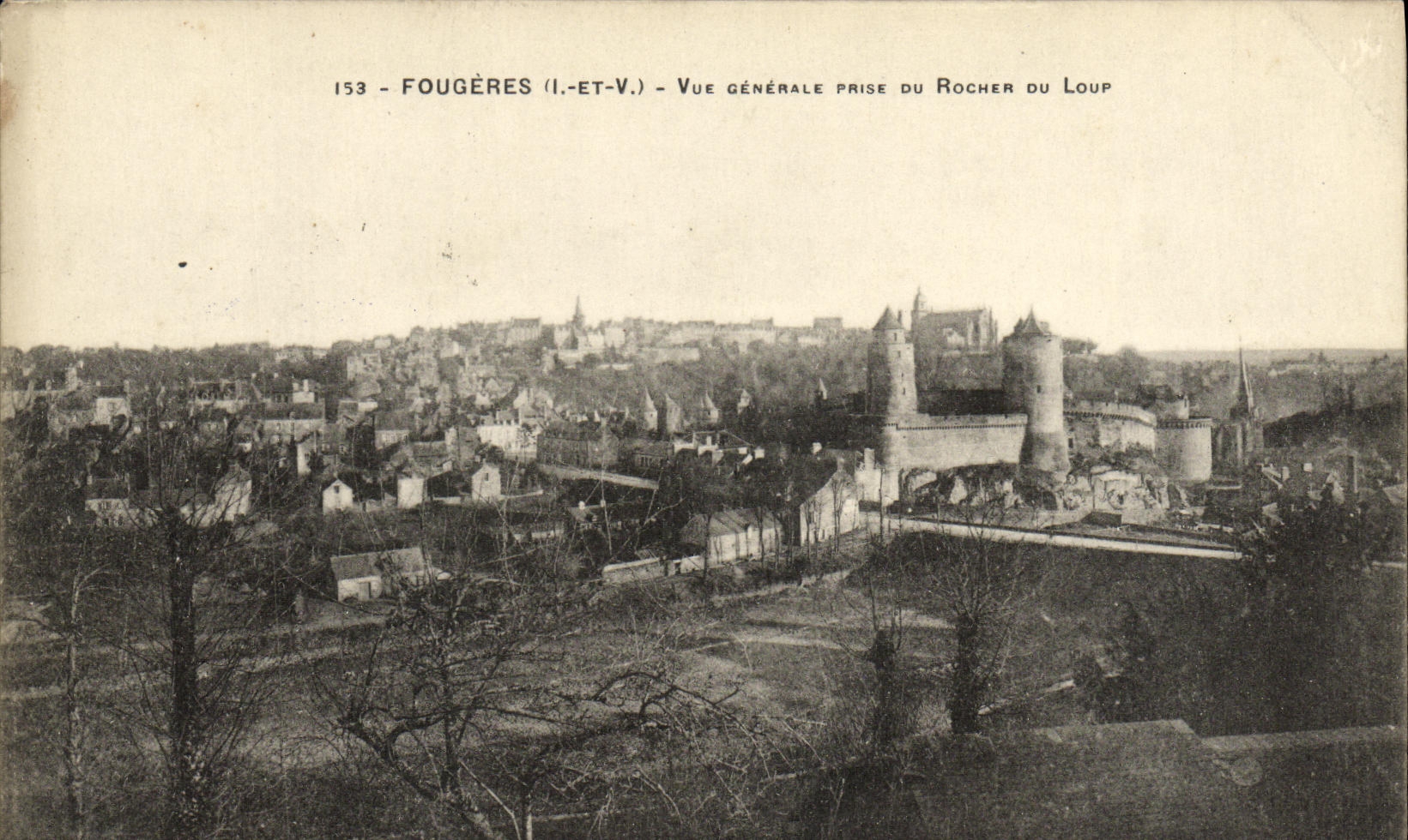 VINTAGE POSTCARD Ferns View Taken of the Rock of the Wolf