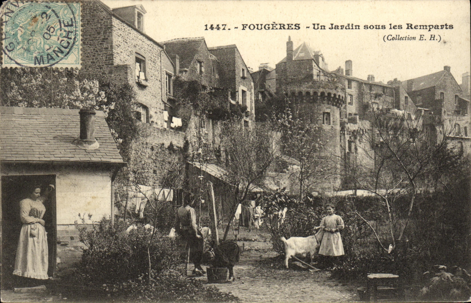 VINTAGE POSTCARD Ferns a Garden under the Walls Goat TOP