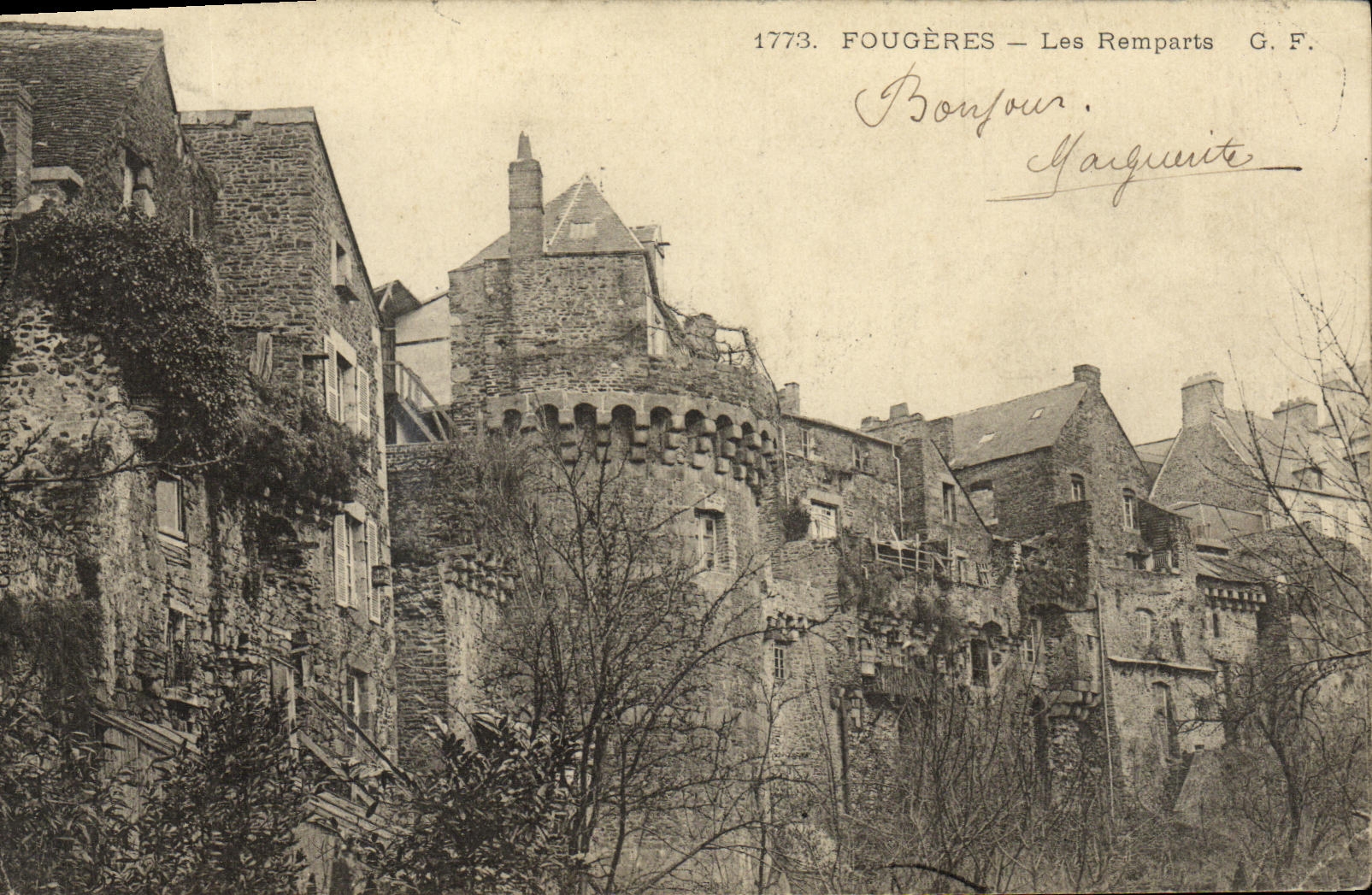 VINTAGE POSTCARD Ferns Walls