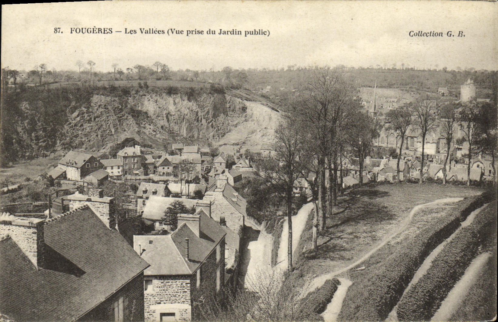 VINTAGE POSTCARD Ferns Valleys seen from of the public garden