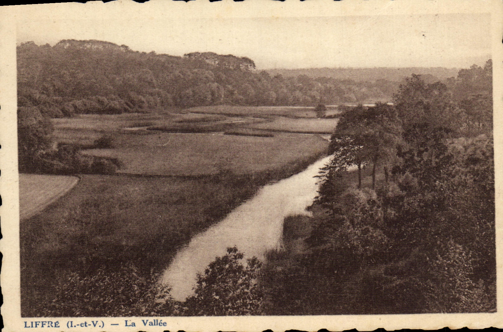 VINTAGE POSTCARD Liffre the Valley