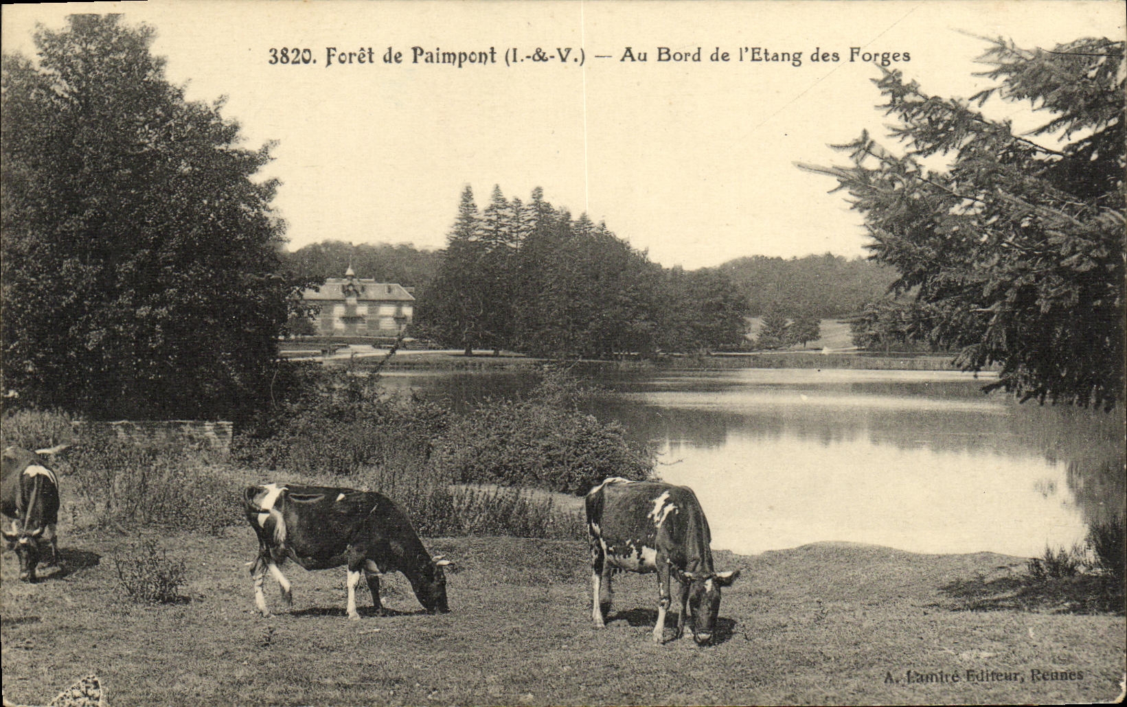 VINTAGE POSTCARD Paimpont Drill of At the edge of L Pond Of the Forging mills Cows