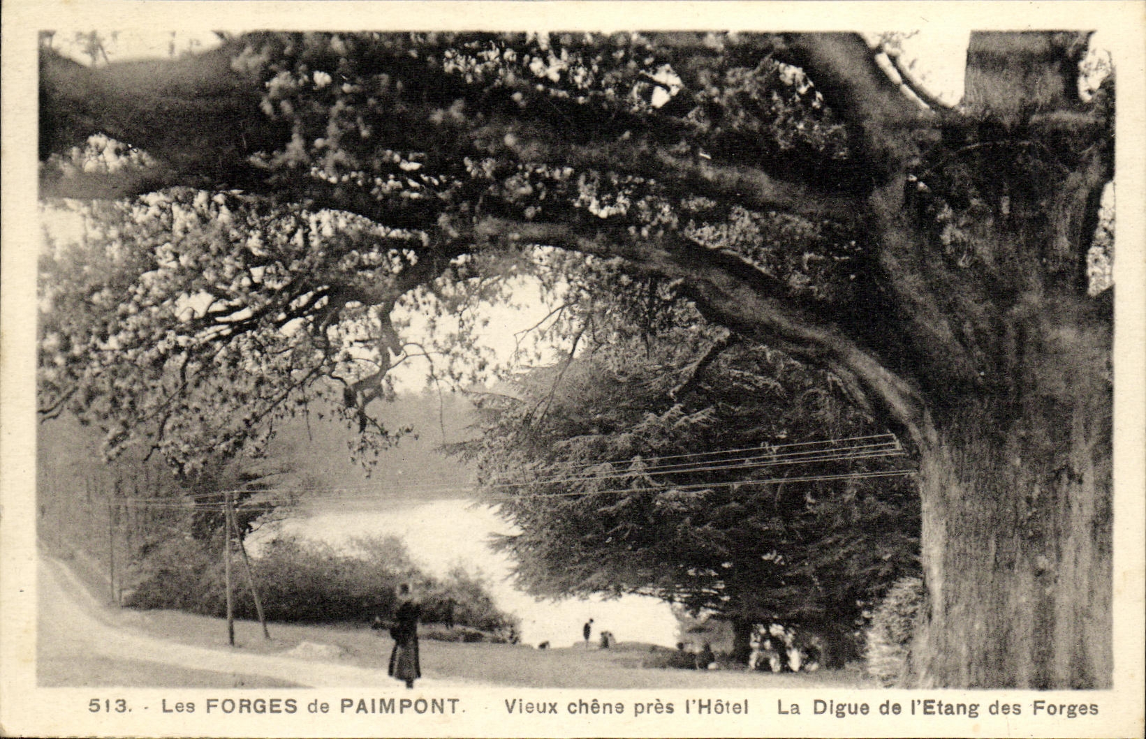 Los molinos de la forja de Paimpont de la POSTAL de la VENDIMIA del roble antiguo cierran L hotel que la presa de L charca de la forja muele