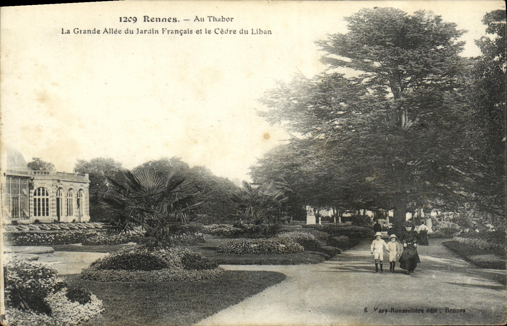 CPA Rennes Au Thabor La grande allee du jardin francais et le CEdre du liban 