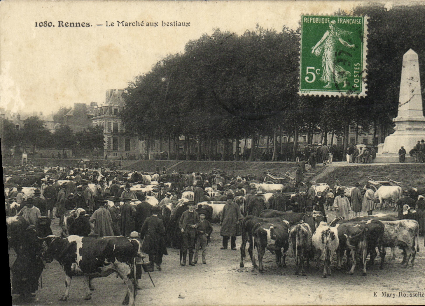CPA Rennes Le Marche Aux Bestiaux Vaches TOP