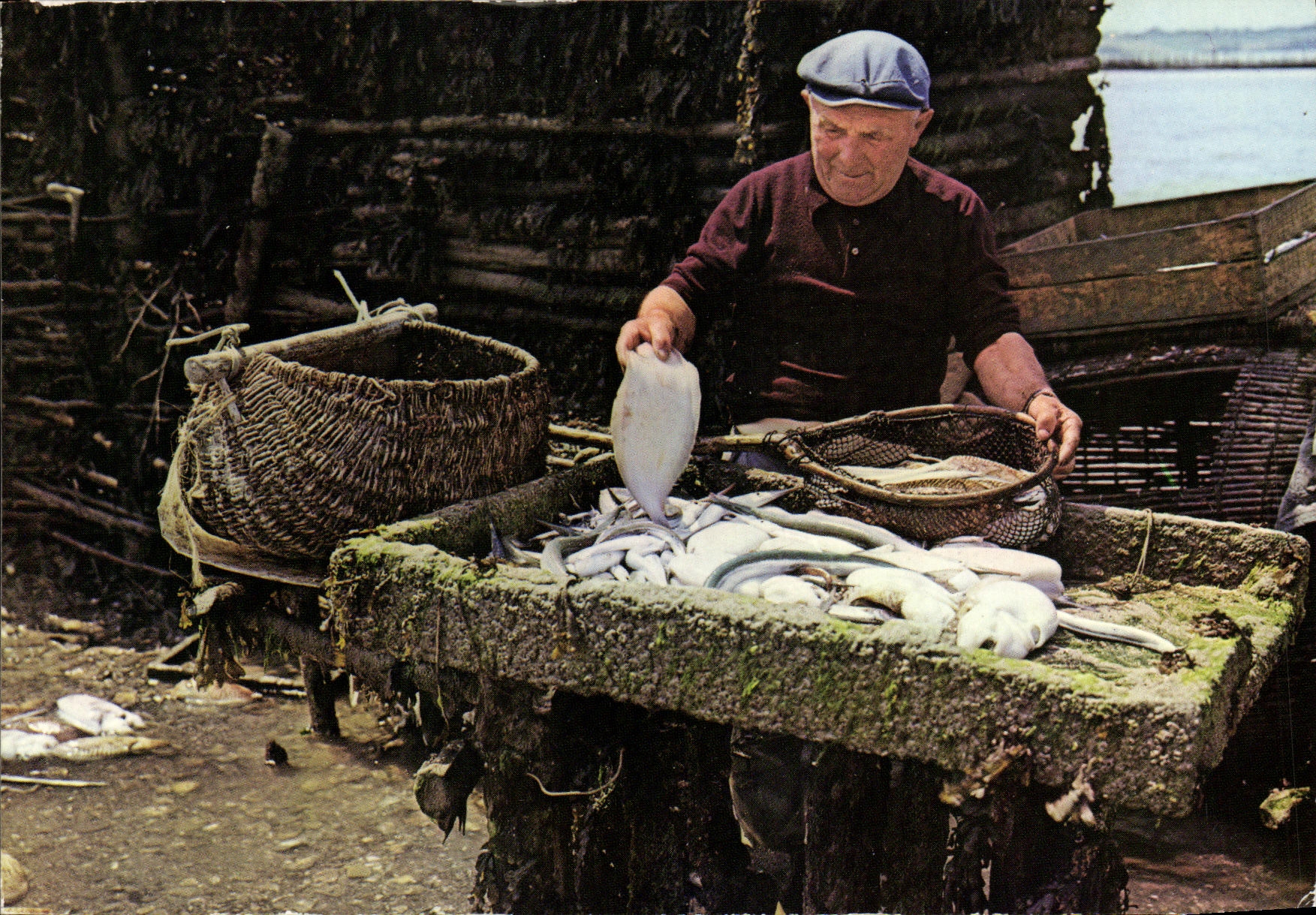 POSTAL MODERNA Benoit santo de las industrias pesqueras de las ondas