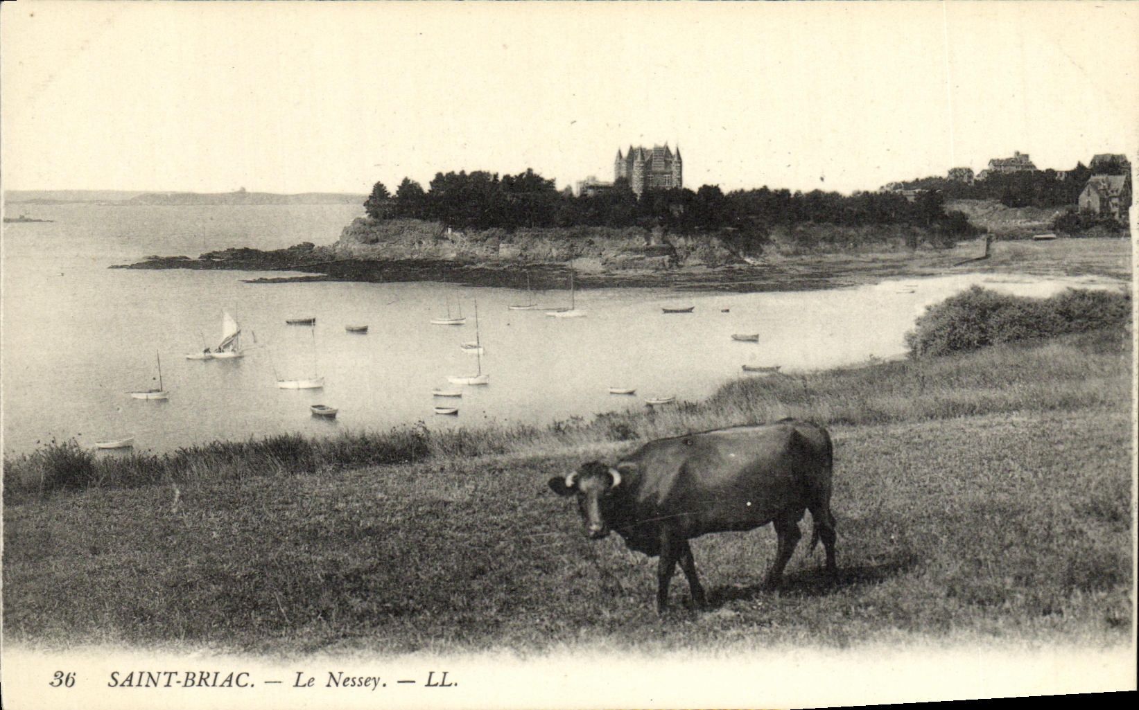 CPA Saint Briac Le Nessey Vache