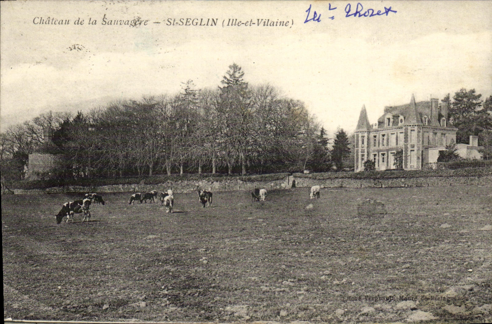 VINTAGE POSTCARD Castle of Sauvagere St Seglin Cows