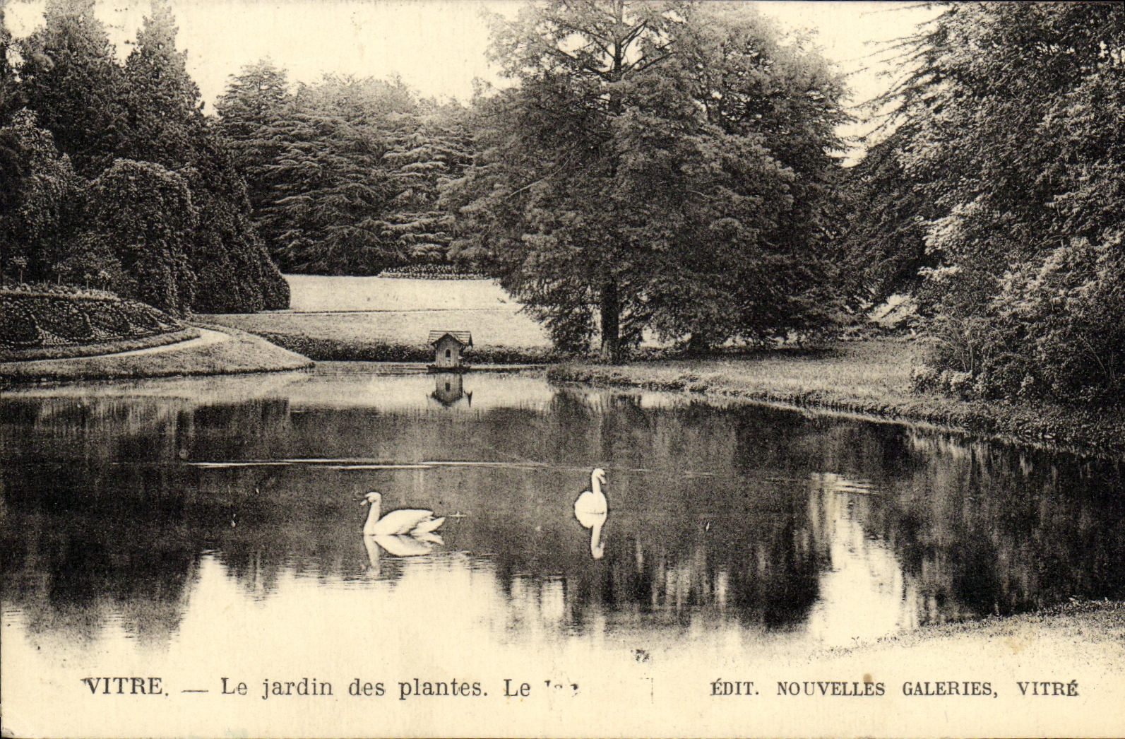 VINTAGE POSTCARD Pane the Botanical garden Swans