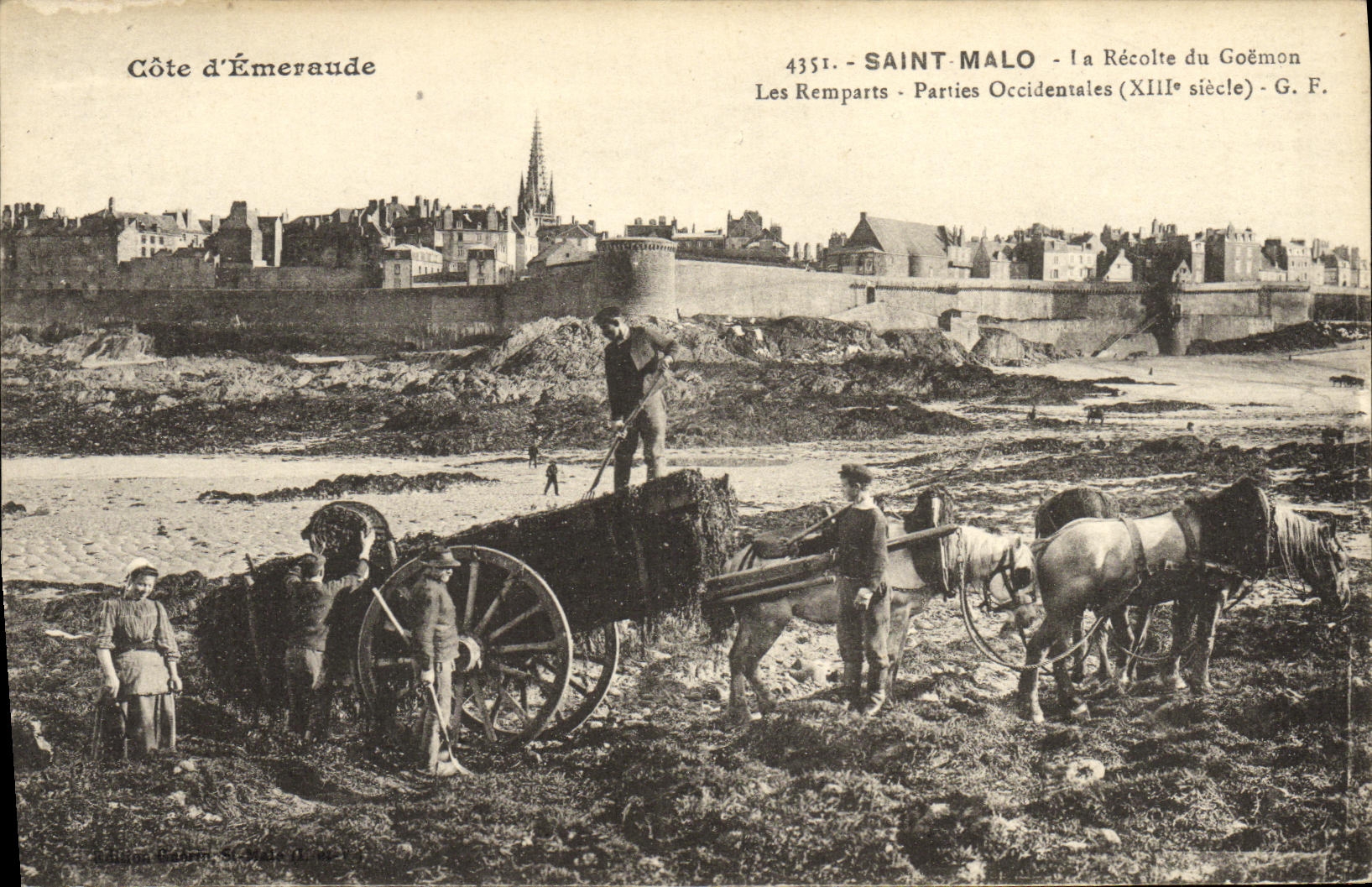 CPA Saint Malo La Recolte du Goemon Les remparts Parties occidentales TOP